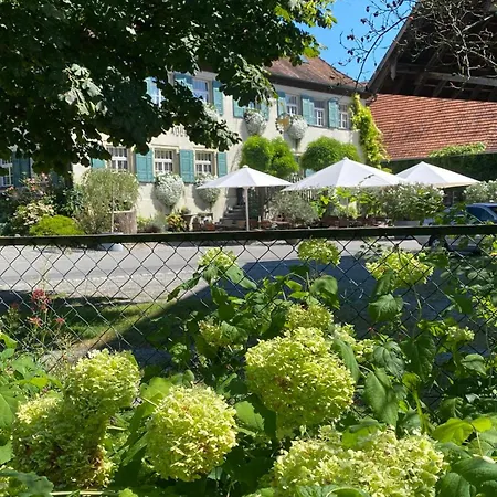 Adler Oberdorf-3